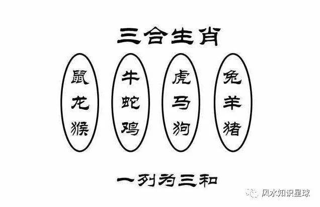 四四传情七会意指什么生肖,时代解答解释落实_z663.80.62