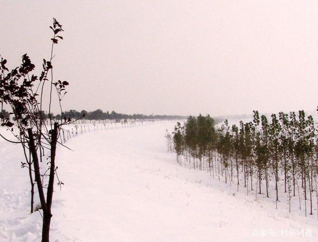 阑干风冷雪漫漫,惆怅无人把钓竿打一生肖,时代解答解释落实_72092.42.28